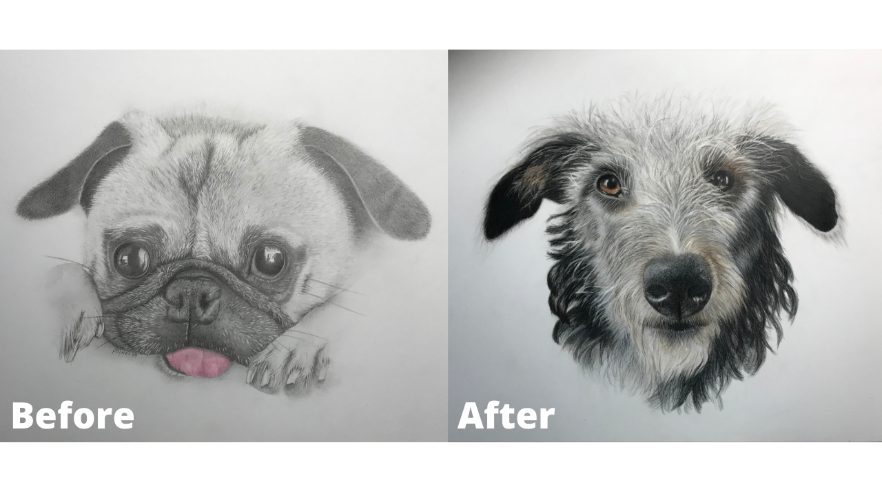 Pamela Mineo - Before and After - Patreon - Bonny Snowdon Fine Art