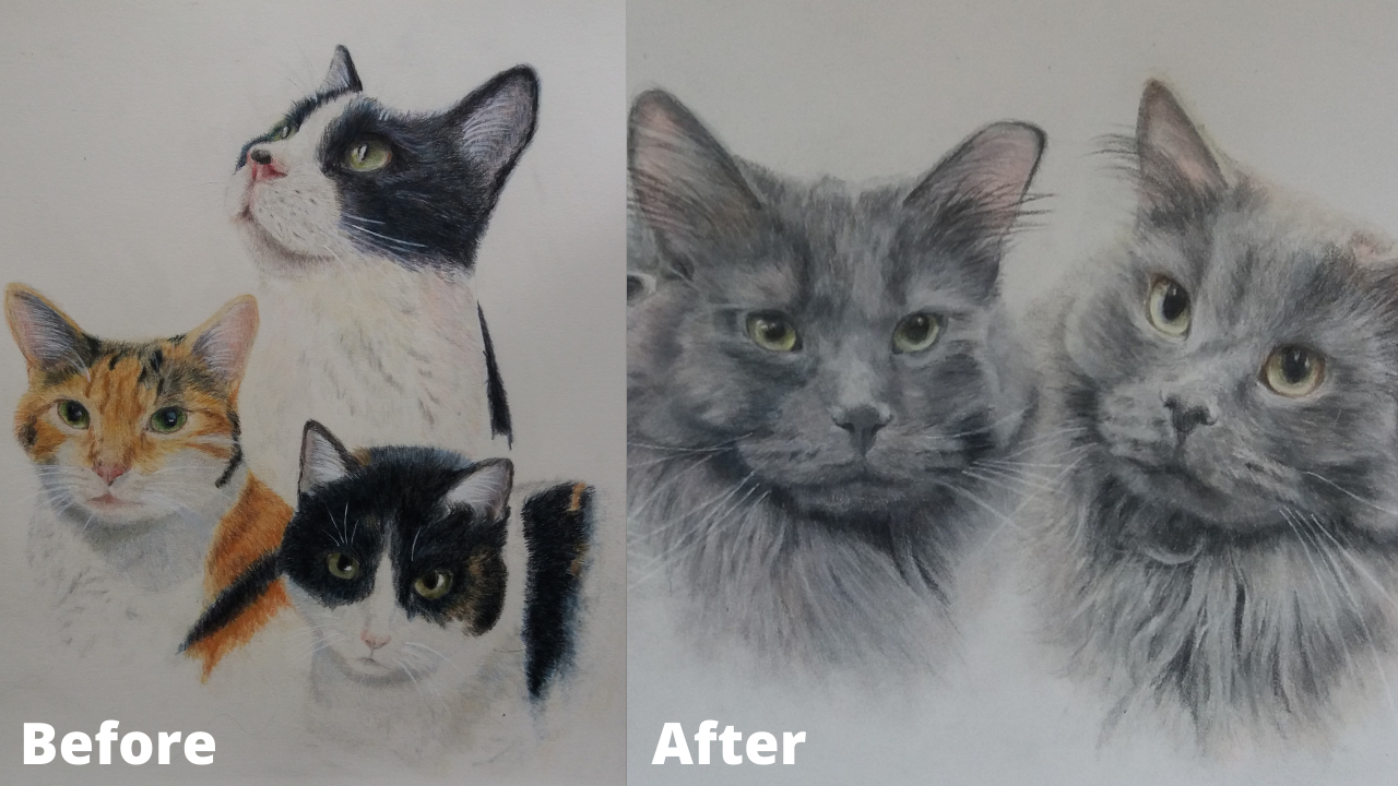 Judith Wysocki - Before and After - Patreon - Bonny Snowdon Fine Art
