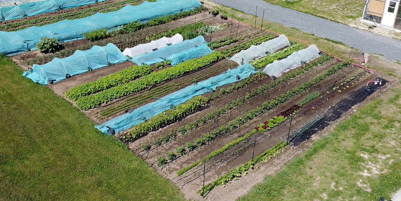 Potager nourricier