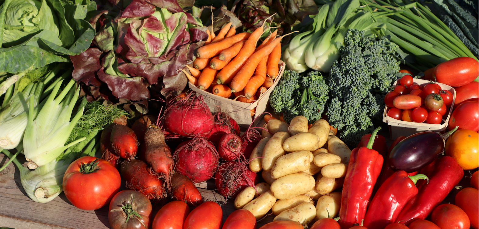 Abondance de légumes - Autonomie alimentaire