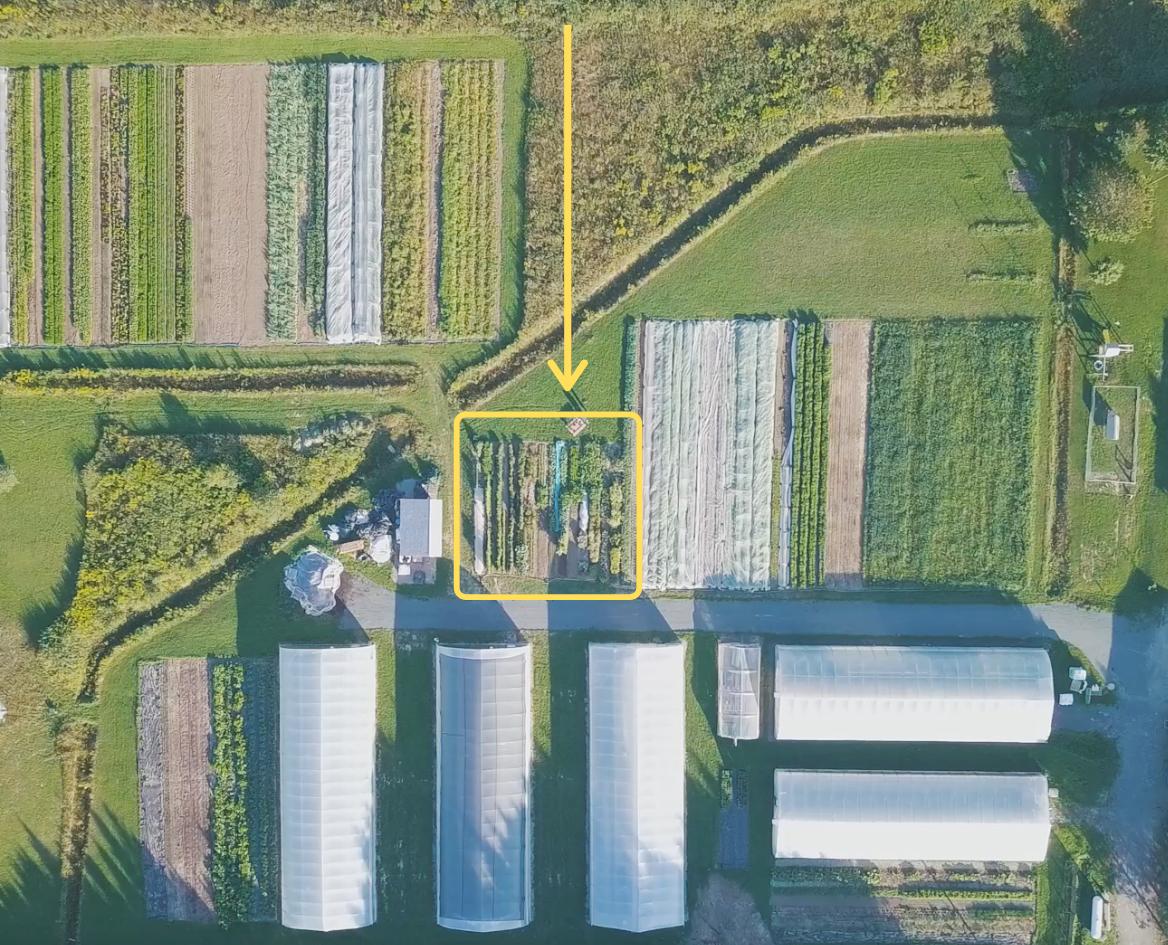 La ferme et le potager