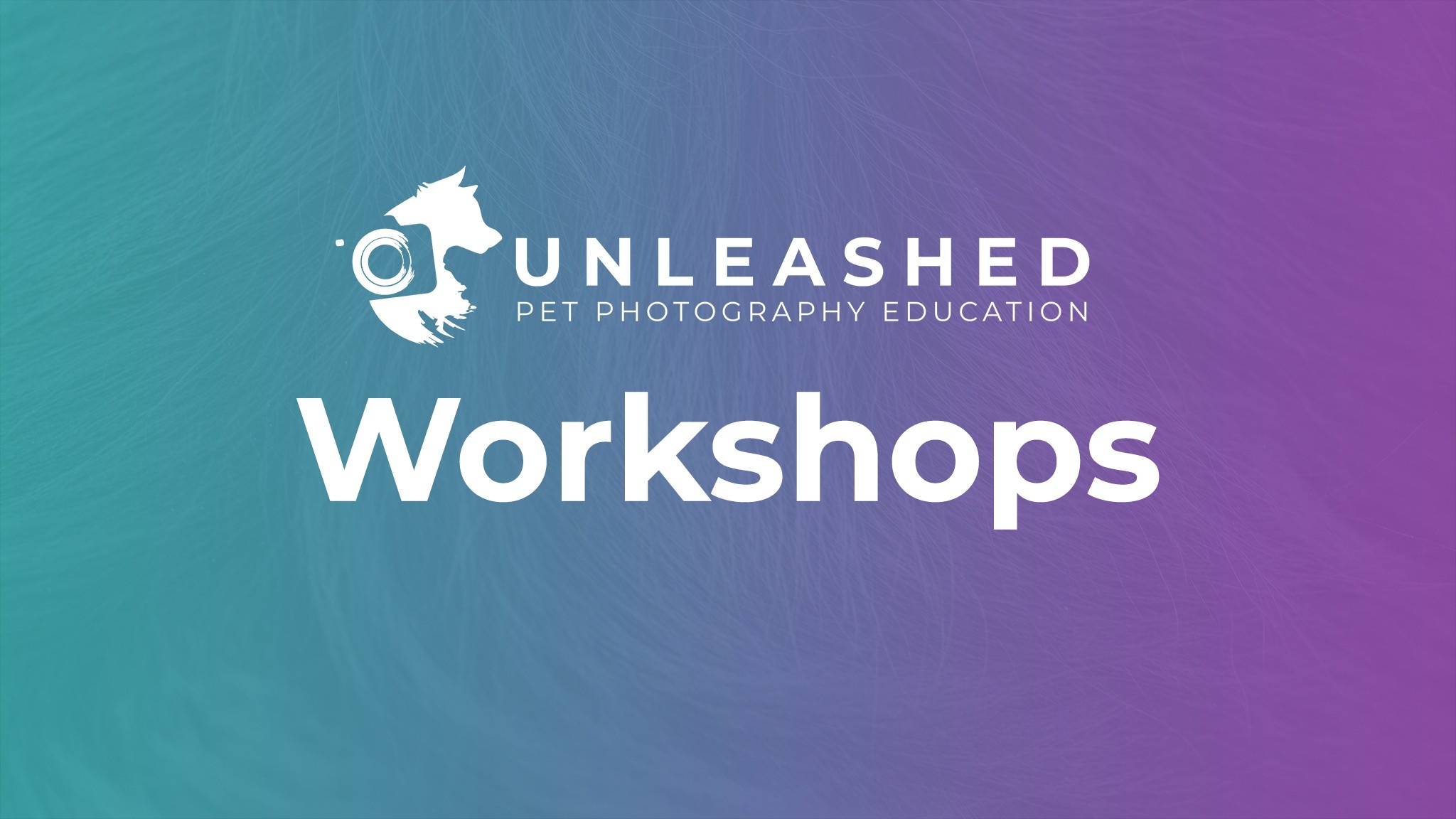 Premium Pet Photography Workshops and Retreats