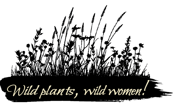 Wild plants, wild women! Bring wild plants into your everyday life and connect with the earth and seasons with this free guide.