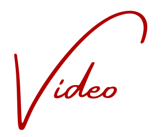 Fay Chapple Youtube
