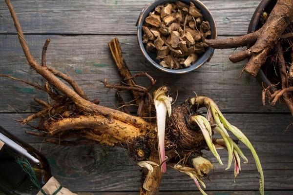 roots for herbal medicine making in the Wise Woman Tradition