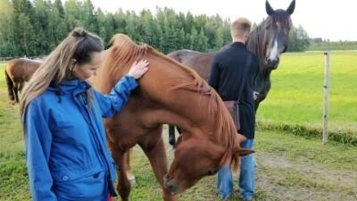 Living an embodied life brings you closer to animals