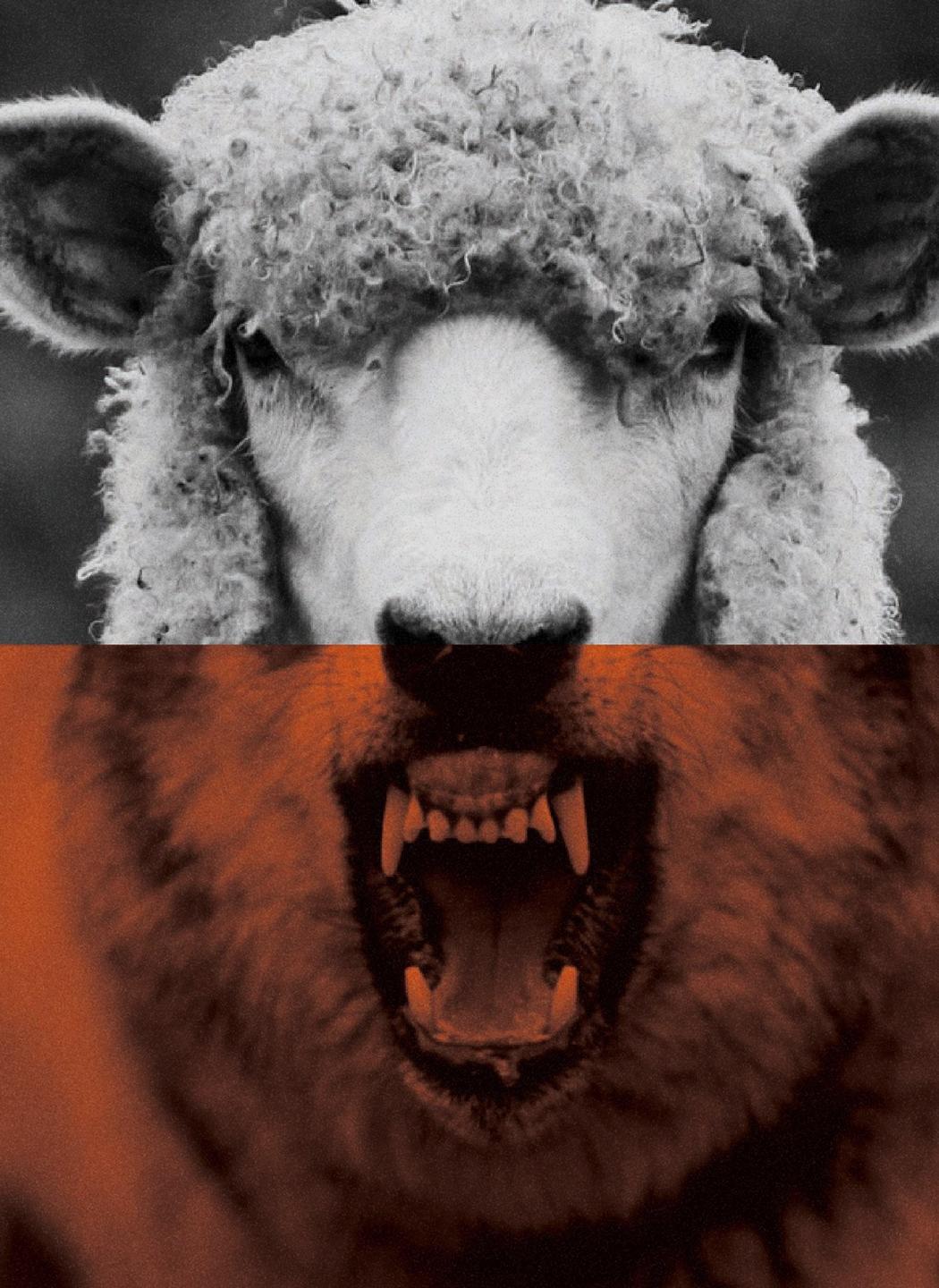 Half-sheep, half-wolf