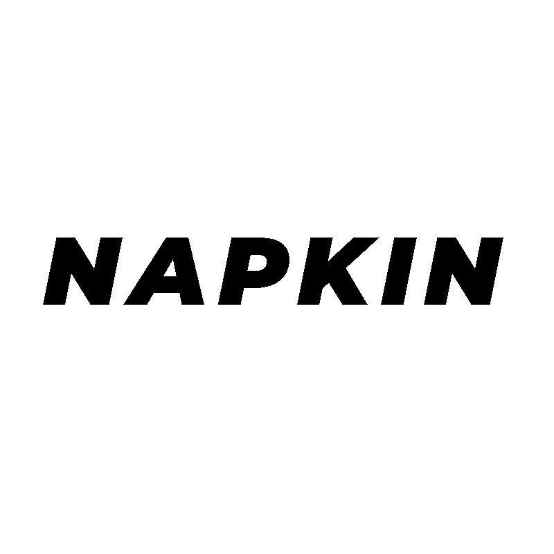 mr-napkin