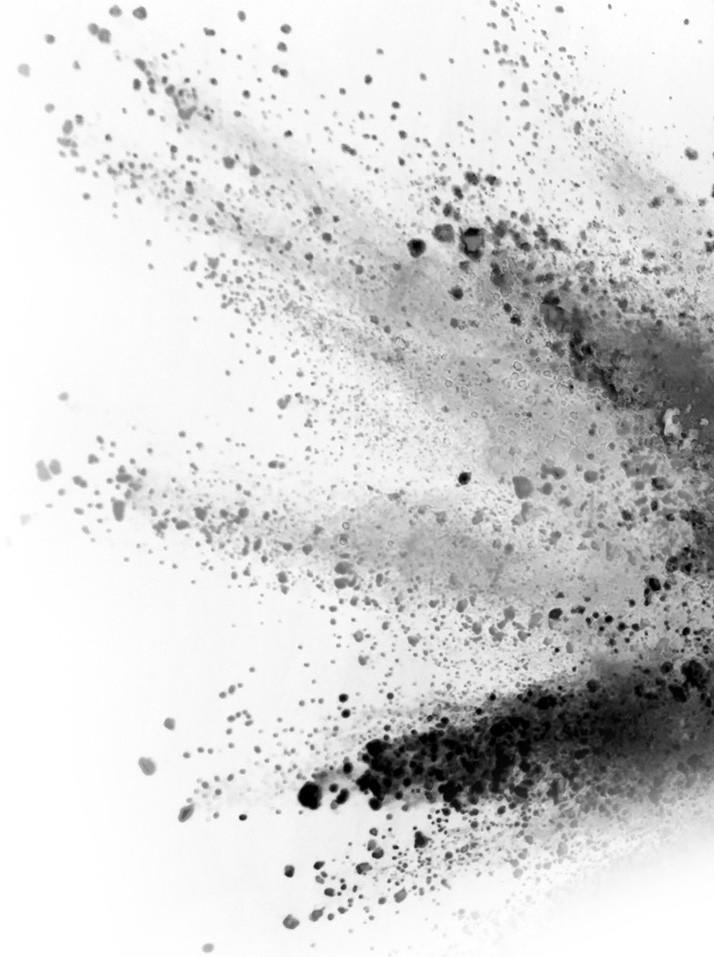 The Empowered Healers, Healers, Subconscious Imprinting Technique, SIT