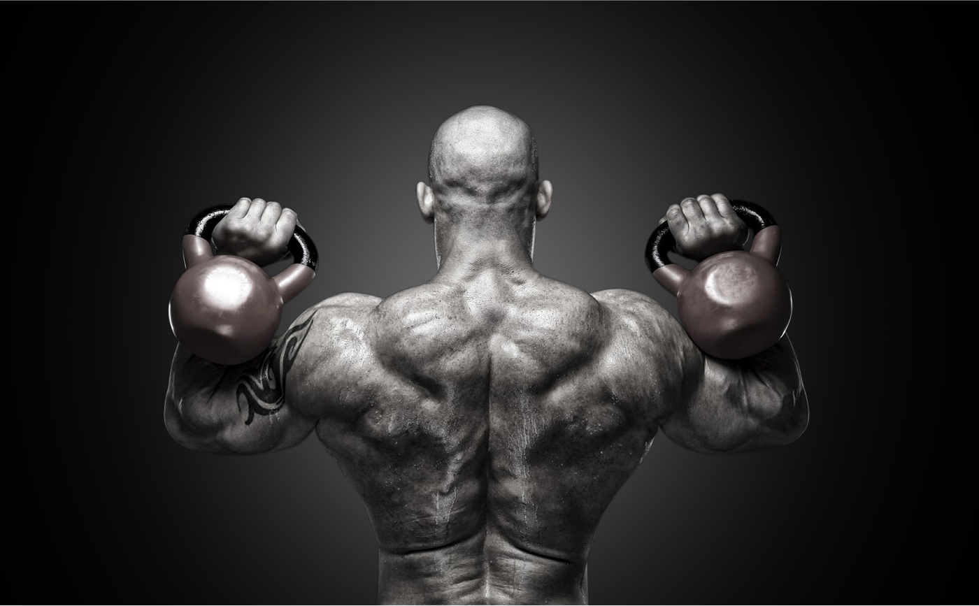 Resultado de imagem para muscle adaptation