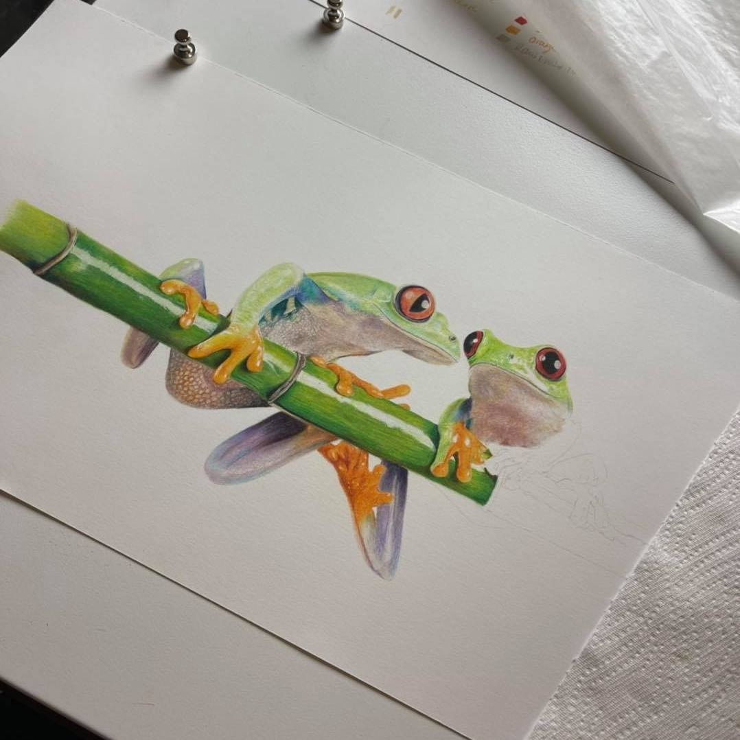 Tree Frogs - Tier Two - Patreon - Bonny Snowdon Fine Art
