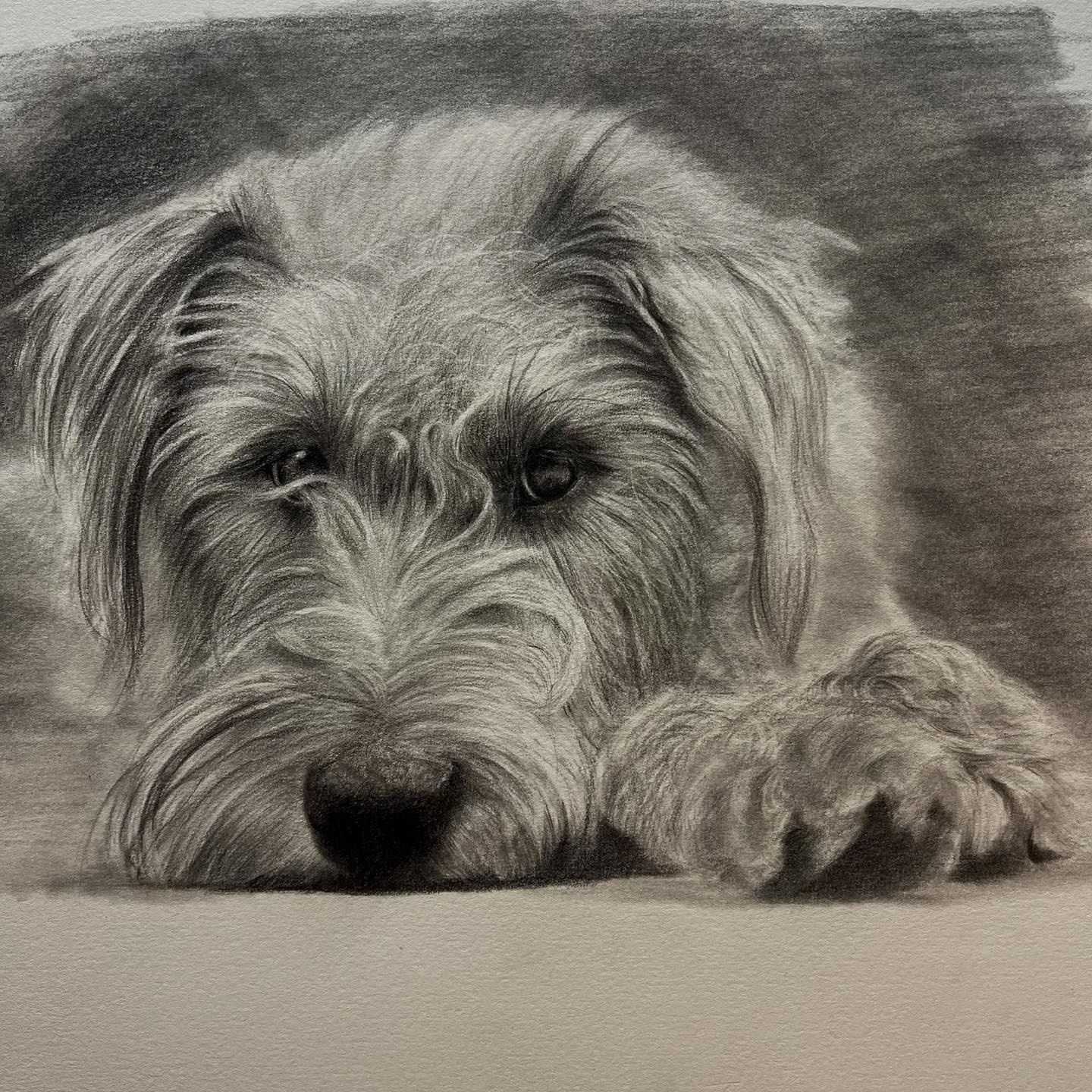 Tonal Dog - Tier One - Patreon - Bonny Snowdon Fine Art