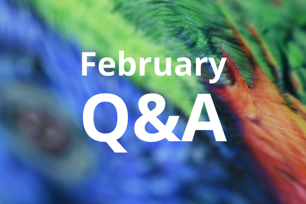 February Q&A - Patreon - Bonny Snowdon Fine Art