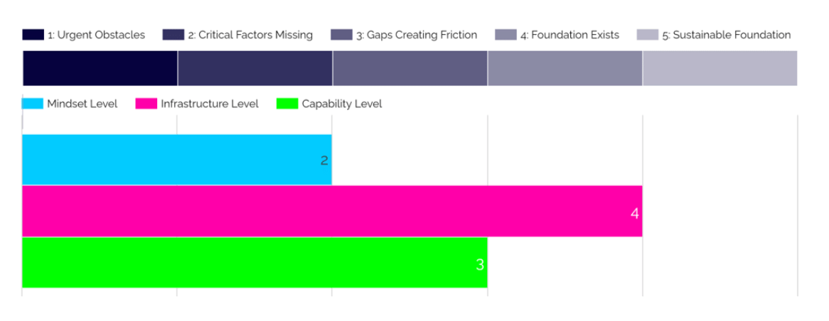 Remote Work Effectiveness Levels