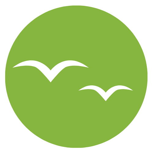 Work with Finola Howard on a Specific Marketing Project