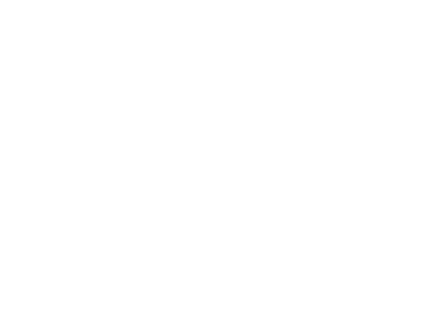 Food Icon