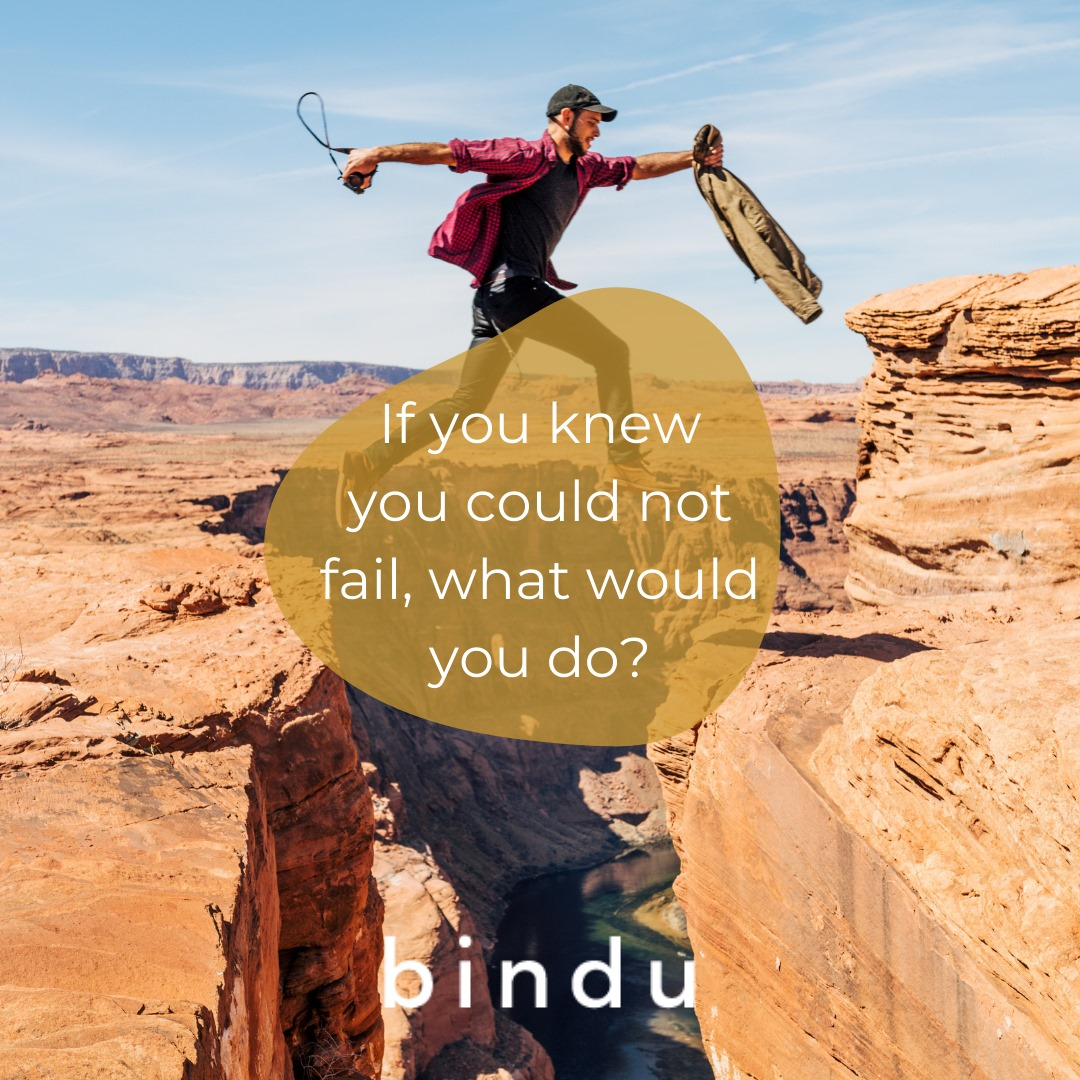 bindu stappenplan bedrijfsconcept