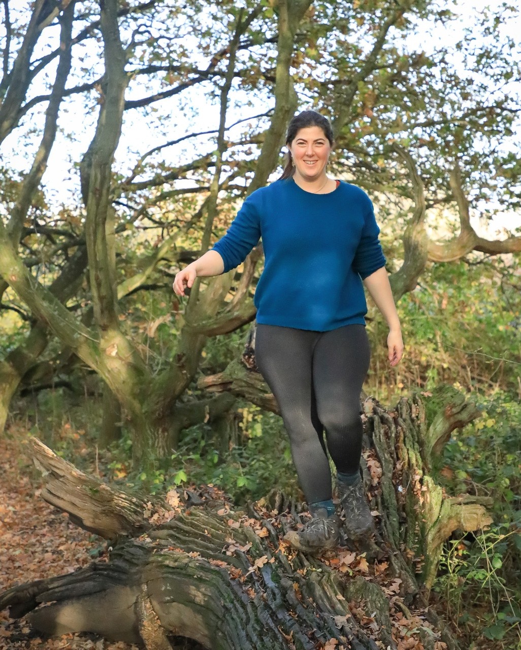 katy neale embodied evolution pilates online
