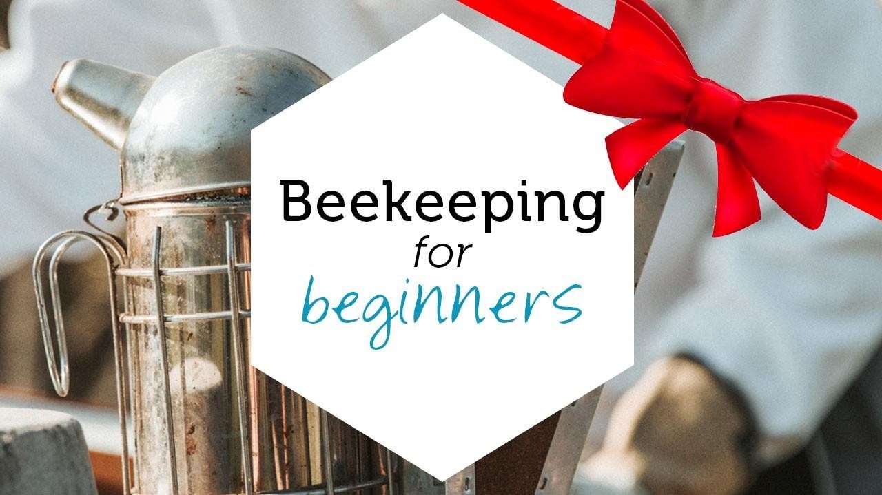 https://www.beekeepingmadesimple.com/gift
