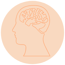 Head & Brain