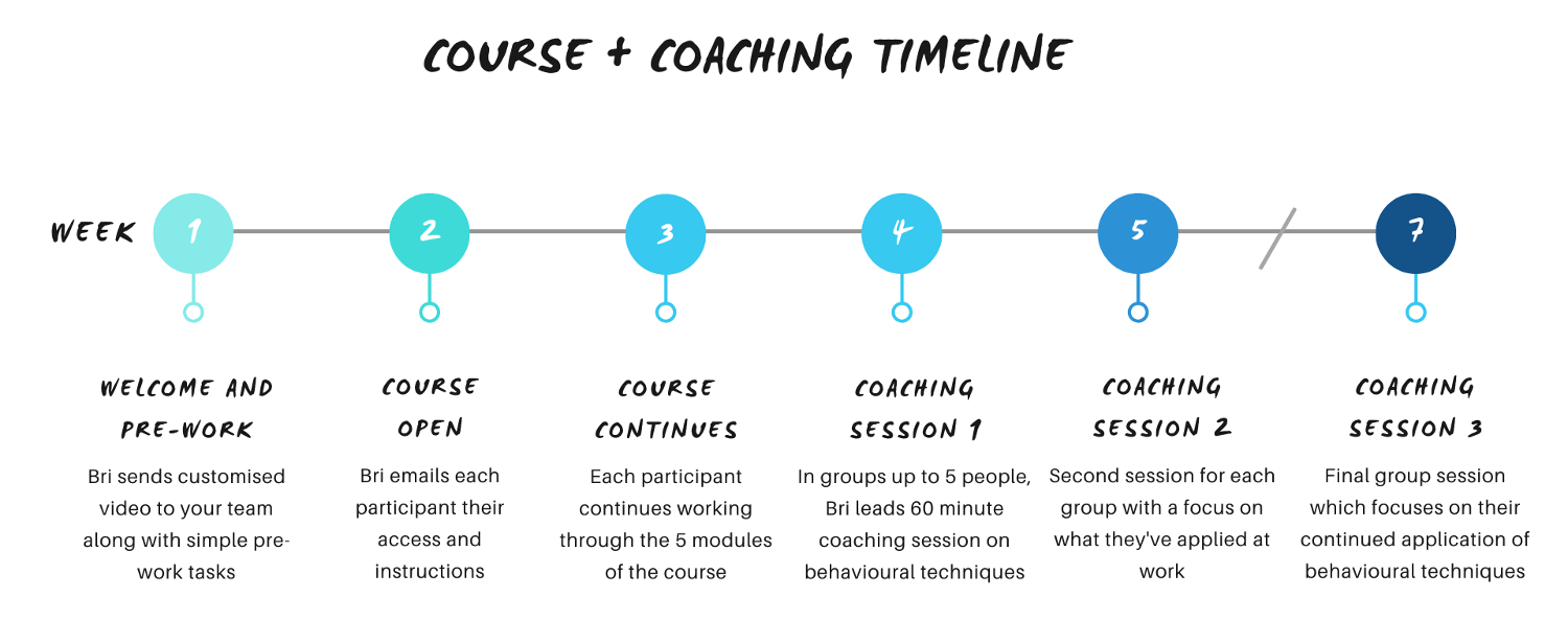Timeline for course and coaching