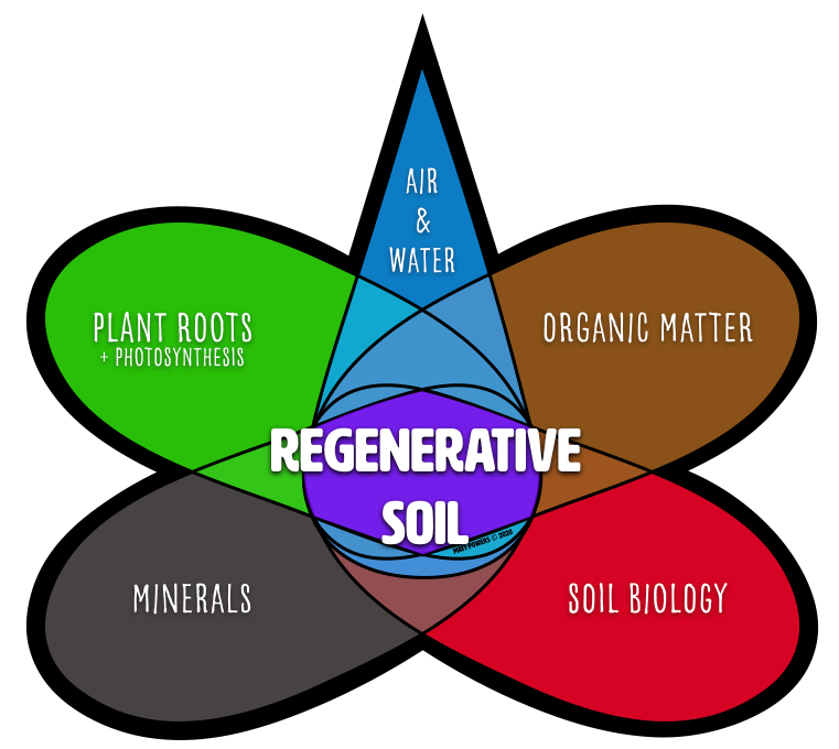 Regenerative Soil Management: A Blueprint for a Healthy Planet