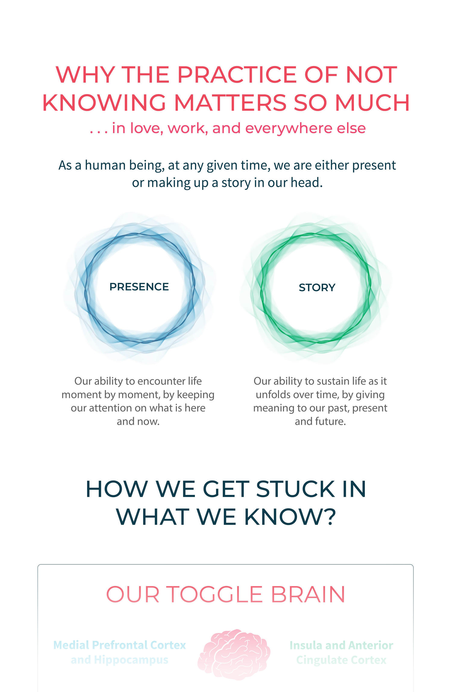 How To Apply Brain Science Of >> Why The Practice Of Not Knowing Matters So Much Free Infographic How To Apply Brain Science Of >> Why The Practice Of Not Knowing Matters So Much Free Infographic