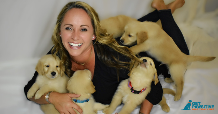 pawsitive puppy school