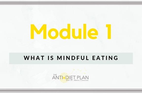 the anti diet plan virtual program with dr alexis conason diet plan creator